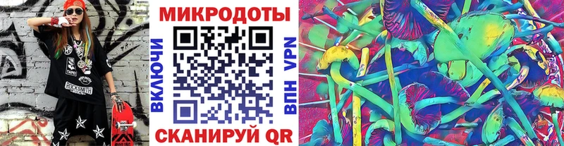 Галлюциногенные грибы Cubensis Тимашёвск